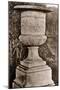 Versailles Urn II-Le Deley-Mounted Art Print