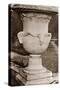 Versailles Urn III-Le Deley-Stretched Canvas