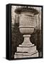 Versailles Urn IV-Le Deley-Framed Stretched Canvas