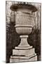 Versailles Urn IV-Le Deley-Mounted Art Print