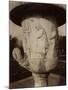 Versailles, Vase par Cornu, 1904-Eugene Atget-Mounted Photographic Print