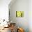 Vert Lime-Anna Polanski-Art Print displayed on a wall