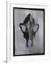 Vertex-Chris Dunker-Framed Giclee Print
