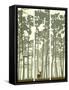 Vertical Banners of Deer in Coniferous Wood.-Vertyr-Framed Stretched Canvas