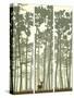 Vertical Banners of Deer in Coniferous Wood.-Vertyr-Stretched Canvas