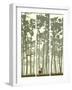 Vertical Banners of Deer in Coniferous Wood.-Vertyr-Framed Art Print