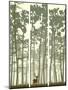 Vertical Banners of Deer in Coniferous Wood.-Vertyr-Mounted Art Print