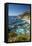 Vertical Big Sur Coastline California-Sheila Haddad-Framed Stretched Canvas