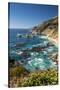 Vertical Big Sur Coastline California-Sheila Haddad-Stretched Canvas