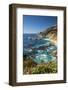 Vertical Big Sur Coastline California-Sheila Haddad-Framed Photographic Print