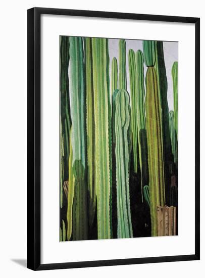 Vertical Candelabro Cactus in Oaxaca, 2003-Pedro Diego Alvarado-Framed Giclee Print