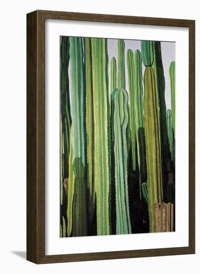 Vertical Candelabro Cactus in Oaxaca, 2003-Pedro Diego Alvarado-Framed Giclee Print