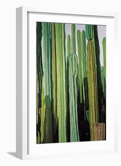 Vertical Candelabro Cactus in Oaxaca, 2003-Pedro Diego Alvarado-Framed Giclee Print