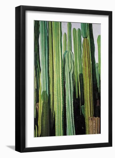 Vertical Candelabro Cactus in Oaxaca, 2003-Pedro Diego Alvarado-Framed Premium Giclee Print