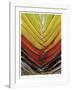 Vertical Color Palm-John Gynell-Framed Giclee Print