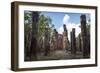 Vertical Columns-Charlie-Framed Photographic Print