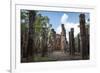 Vertical Columns-Charlie-Framed Photographic Print