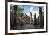 Vertical Columns-Charlie-Framed Photographic Print