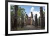 Vertical Columns-Charlie-Framed Photographic Print