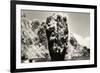 Vertical Island, Phangnga Bay,Thailand-Theo Westenberger-Framed Photographic Print