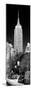 Vertical Panoramic - Door Posters-Philippe Hugonnard-Mounted Photographic Print