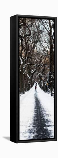 Vertical Panoramic - Door Posters-Philippe Hugonnard-Framed Stretched Canvas