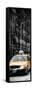 Vertical Panoramic - Door Posters-Philippe Hugonnard-Framed Stretched Canvas