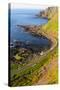 Vertical Shot of Giant's Causeway Cliffs-CaptBlack76-Stretched Canvas