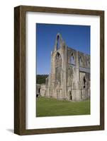 Vertical view of West front and South west corner of Tintern Abbey, Monmouthshire, Wales-Julian Pottage-Framed Photographic Print