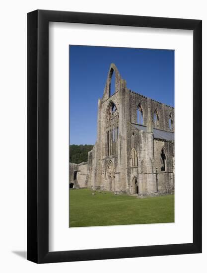 Vertical view of West front and South west corner of Tintern Abbey, Monmouthshire, Wales-Julian Pottage-Framed Photographic Print
