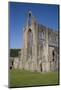 Vertical view of West front and South west corner of Tintern Abbey, Monmouthshire, Wales-Julian Pottage-Mounted Photographic Print