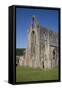 Vertical view of West front and South west corner of Tintern Abbey, Monmouthshire, Wales-Julian Pottage-Framed Stretched Canvas