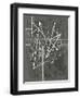 Vertices I-Ethan Harper-Framed Art Print