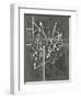 Vertices I-Ethan Harper-Framed Art Print