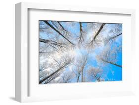 Vertigo Blue-Philippe Sainte-Laudy-Framed Photographic Print