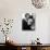 Vertigo, James Stewart, Kim Novak, 1958-null-Stretched Canvas displayed on a wall