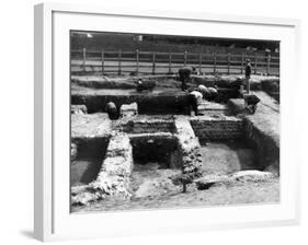 Verulamium Excavations-null-Framed Photographic Print