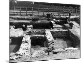 Verulamium Excavations-null-Mounted Photographic Print