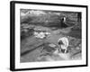 Verulamium Excavations-null-Framed Photographic Print