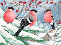 Christmas 14 Snowflake Magic-Veruschka Guerra-Giclee Print