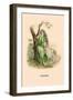 Verveine-J.J. Grandville-Framed Art Print