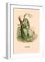 Verveine-J.J. Grandville-Framed Art Print