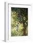 Vervet Monkey Climbing in Forest, Kruger National Park, South Africa-Paul Souders-Framed Photographic Print