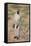 Vervet Monkey-DLILLC-Framed Stretched Canvas