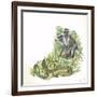 Vervet or Green Monkeys Chlorocebus Aethiops Giving Alarm Calls to Signal the Presence of Snake-null-Framed Giclee Print