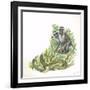 Vervet or Green Monkeys Chlorocebus Aethiops Giving Alarm Calls to Signal the Presence of Snake-null-Framed Giclee Print