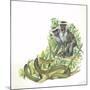 Vervet or Green Monkeys Chlorocebus Aethiops Giving Alarm Calls to Signal the Presence of Snake-null-Mounted Giclee Print