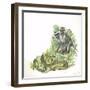 Vervet or Green Monkeys Chlorocebus Aethiops Giving Alarm Calls to Signal the Presence of Snake-null-Framed Giclee Print