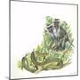 Vervet or Green Monkeys Chlorocebus Aethiops Giving Alarm Calls to Signal the Presence of Snake-null-Mounted Giclee Print
