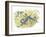 Vervet or Green Monkeys Chlorocebus Aethiops Stealing Corn-null-Framed Giclee Print